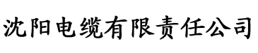 女大学生的沙龙电缆厂logo